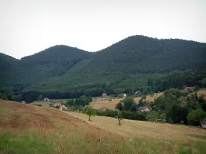 Nördlichen Vogesen - Weiden, Häuser, Bäume und Hügel bedeckt mit Wäldern (Regionaler Naturpark der nördlichen Vogesen)