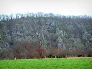 Normandisch Zwitserland - Orne dal: weelderige weide (groen), bomen en rotsen (rotswanden)
