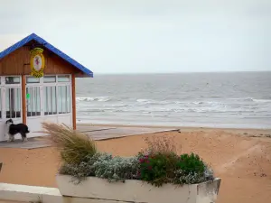 Notre-Dame-de-Monts - Resort: piante e fiori nella casella finestra, bar sulla spiaggia e il mare (Oceano Atlantico)