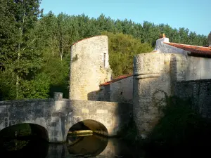 Nouaillé-Maupertuis abbey - Bridge, moats (Miosson river), towers and trees