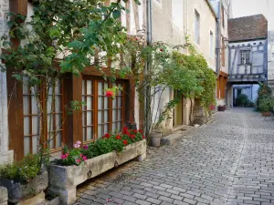 Noyers - Facades of houses decorated with flowers and climbing plants