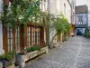 Noyers-sur-Serein - Noyers: Façades de maisons ornées de fleurs et de plantes grimpantes