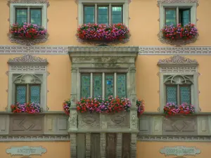 Obernai - Façade colorée de l'hôtel de ville (mairie) avec oriel et fenêtres ornées de fleurs (géraniums)