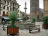 Obernai - Marktplein met de fontein Sainte-Odile, het belfort (Kapellturm) en vakwerkhuizen