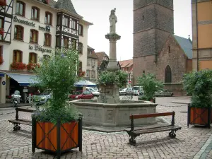 Obernai - Place du Marché avec la fontaine Sainte-Odile, le beffroi (Kapellturm) et des maisons à colombages