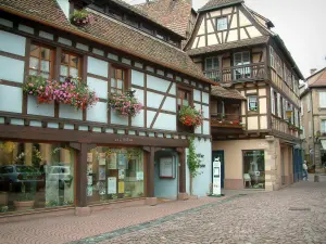 Obernai - Colourful half-timbered houses and geranium flowers (geraniums)