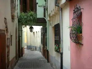 Obernai - Rue étroite bordée de maisons aux façades colorées
