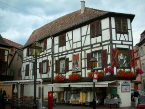 Obernai - White half-timbered house decorated with paintings and geranium flowers (geraniums), restaurant terrace and a shop