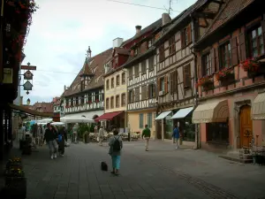 Obernai - Pedestrian street and half-timbered houses decorated with geranium flowers (geraniums), café terrace and shops