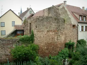 Obernai - Garden, vegetable garden, ramparts tower and houses