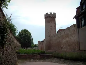 Obernai - Double surrounding walls of the ramparts with towers