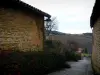Oingt - Gepflasterte Gasse, gesäumt von Häusern aus Stein mit Blick auf den Weinanbau, im Pays des Pierres Dorées (Pays Beaujolais)