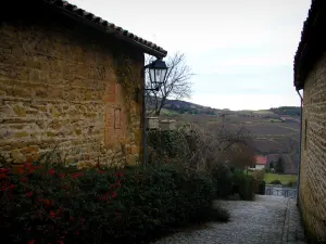 Oingt - Geplaveide straat met stenen huizen met uitzicht op de wijngaarden en in het Land van Golden Stone (Beaujolais)