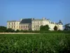 Oiron castle - View of the Renaissance castle surrounded by fields