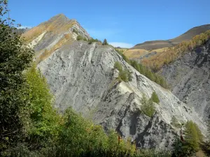 Oisans - Laderas de las montañas y los árboles