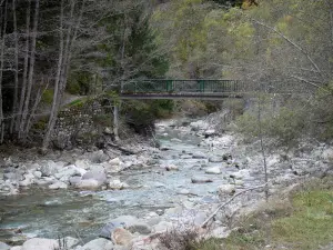 Oisans - Valle Vénéon: Vénéon torrente bordeado por árboles y rocas, pasarela sobre el río
