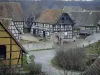Das Ökomuseum des Elsass - Führer für Tourismus, Urlaub & Wochenende im Oberrhein