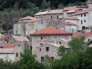 Olargues - Case del villaggio e gli alberi