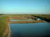 Oléron island - Oysters road: claires maturing pools