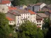 Olliergues - Portal van de Notre-Dame, dorp huizen en bomen in het Regionaal Natuurpark Livradois