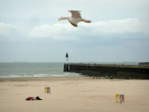 Opal Coast landscapes - Gull flying, sandy beach, pier and North Sea in Calais