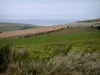 Opal Coast landscapes - Hill covered with fields and sea in background