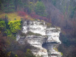 Orival cliff - Cliff, shrubs and trees