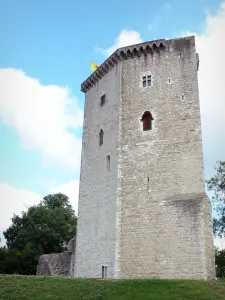 Orthez - Turm Moncade, Bergfried des ehemaligen Schlosses Moncade