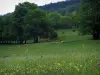 Oueil valley - Wild flowers and flora in foreground, cows in a prairie and trees, in the Pyrenees