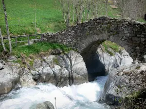 Oulles du Diable - Small bridge spanning the Navette torrent, cliffs and trees; in the municipality of Chapelle-en-Valgaudémar, in Valgaudemar, in the Écrins National Nature Park (Écrins mountain range)