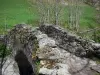 Oulles du Diable - Pequeño puente sobre el arroyo, árboles y pastos en la localidad de La Chapelle-en-Valgaudemar en Valgaudemar en el Parque Nacional de Ecrins (macizo de Ecrins)