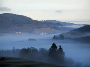 Paesaggi - Colline, alberi e nuvole