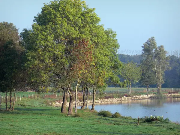 Paesaggi dell'Ain - Prati e gli alberi vicino a un laghetto Dombes