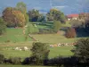 Paesaggi dell'Ain - Meadows con mandrie di mucche, alberi e fattoria