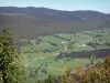 Paesaggi dell'Ain - Parco Naturale Regionale di Haut-Jura (Giura): Vista dal passo della falce