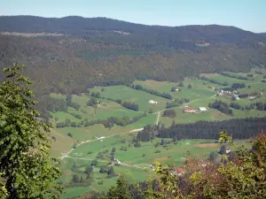 Paesaggi dell'Ain - Parco Naturale Regionale di Haut-Jura (Giura): Vista dal passo della falce