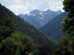 Paesaggi dell'Alta Garonna - Alberi, foreste e le montagne dei Pirenei