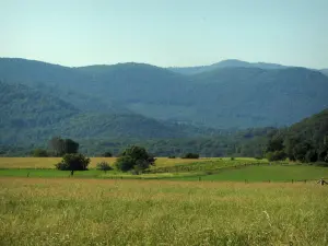 Paesaggi dell'Alta Garonna - Campi, alberi e colline di Comminges