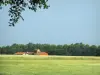 Paesaggi dell'Alta Garonna - Rami di un albero in primo piano, i campi, gli alberi e la fattoria, in Lauragais