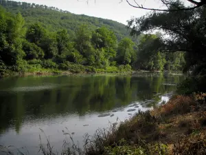 Paesaggi dell'Alta Garonna - River (la Garonna) e gli alberi in riva al mare