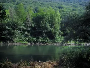 Paesaggi dell'Alta Garonna - River (la Garonne) e gli alberi