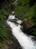 Paesaggi dell'Alta Garonna - Torrent nei Pirenei