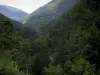 Paesaggi dell'Alta Garonna - Forest (alberi) e sui monti Pirenei