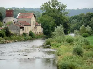 Paesaggi dell'Alta Marna - Valle della Marna: rive del fiume Marne