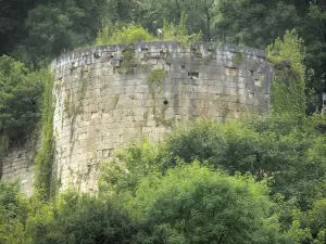 Paesaggi dell'Alta Marna - La Torre Bene, resti del castello di Vignory, immersa nel verde