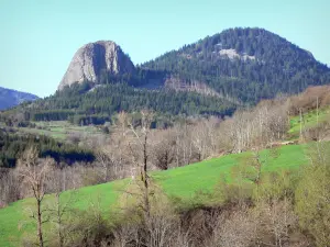 Paesaggi dell'Ardèche - Parco Naturale Regionale dei Monti d'Ardèche - Ardèche Montagna: vista del Gouleyou (piccolo Gerbier) e il succo di Torrone, prato circondato da alberi in primo piano