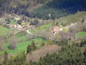 Paesaggi dell'Ardèche - Case su una piccola strada in un ambiente boschivo