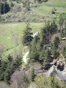 Paesaggi dell'Ardèche - Piccola strada alberata