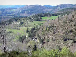 Paesaggi dell'Ardèche - Colline coperte di alberi e prati