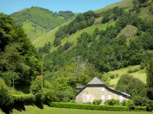 Paesaggi del Béarn - Casa di pietra in una montagna e verde